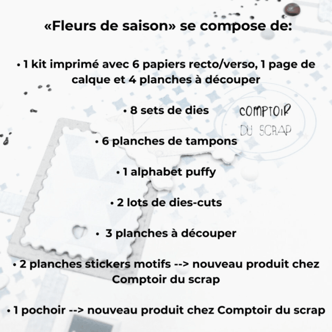 P1023-FDS Lot Collection complète Fleurs de saison