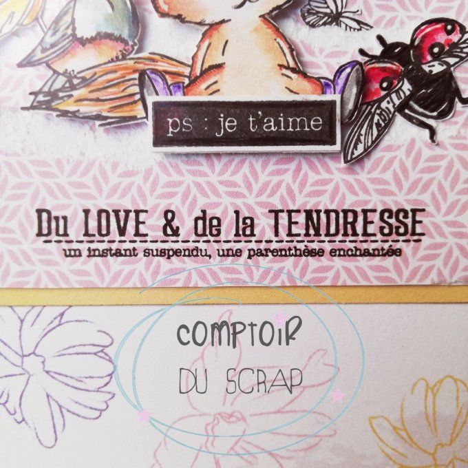 T0324-SA264 Tampon Du love et de la tendresse