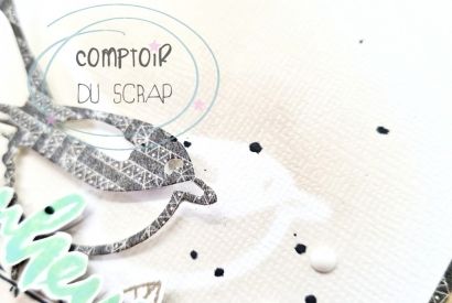 Carterie avec Pamposcrap