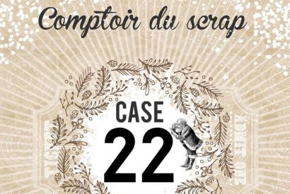 CASE 22: Tuto carte shaker box par Rose