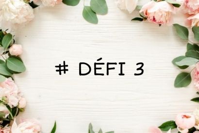 #DEFI 3 NSD par Virginie Devaux