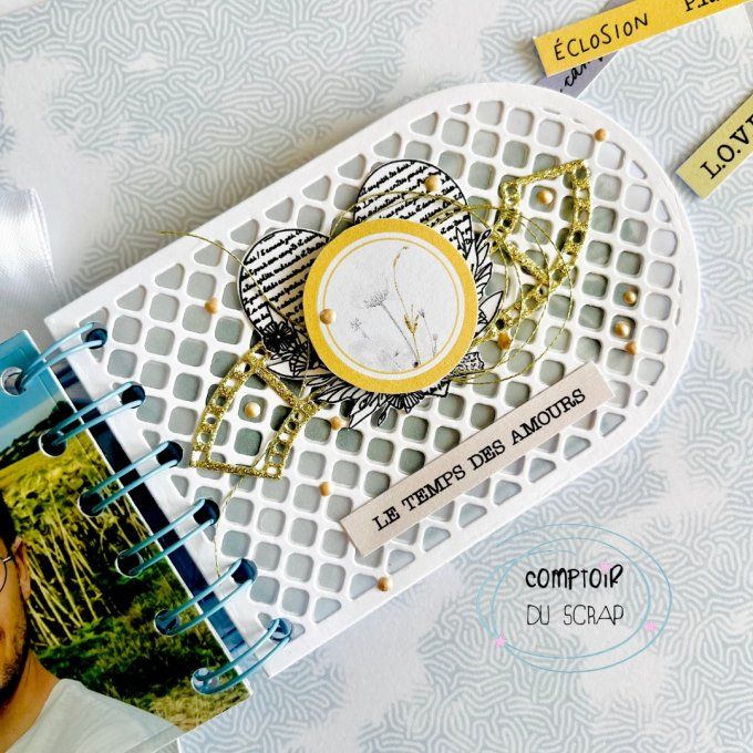 D0426-DI100 Dies Arches