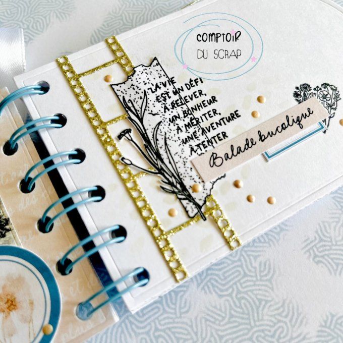 D0426-DI99 Dies Stars de cinéma