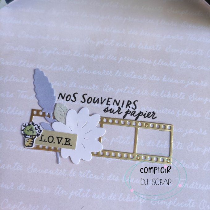 D0426-VE108 Dies Envolée de fleurs