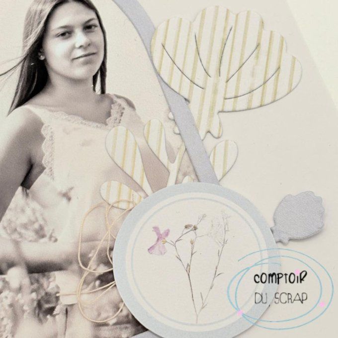 D0426-VE108 Dies Envolée de fleurs