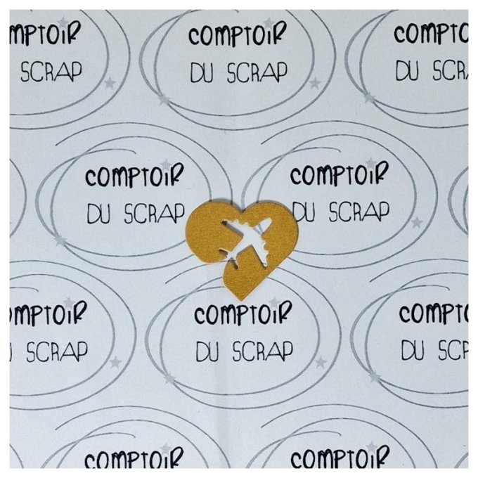 D0622-SA45 Die Coeur avion