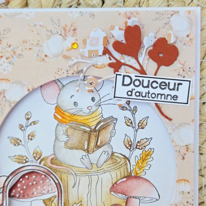 D0926-VE110 Dies Feuillages d'automne