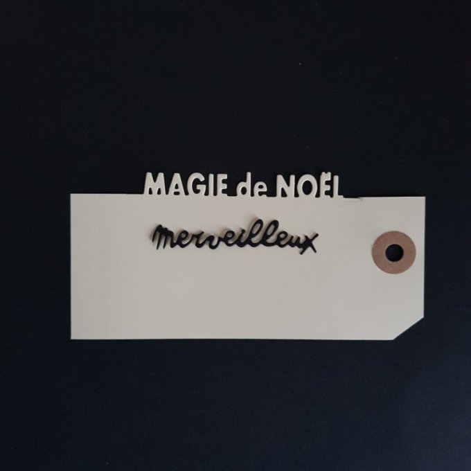 D1118-EC14 Die Set de 2 mots Magie de Noel merveilleux