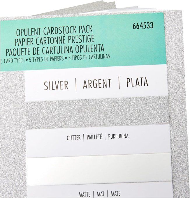 Papiers cartonnés Surfacez Opulent Cardstock A4 Argent  50 Feuilles -Sizzix