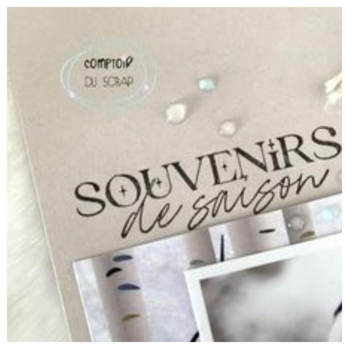 T0123-SA226 Tampon Froid polaire