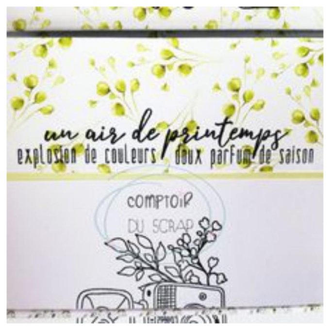T0322-SA185 Tampon Un air de printemps
