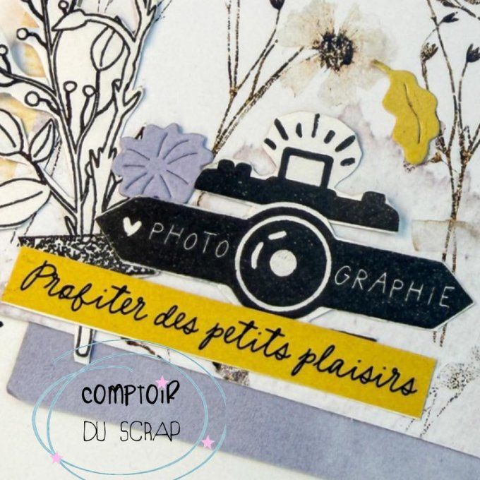 T0426-SA315 Tampons Clic clac