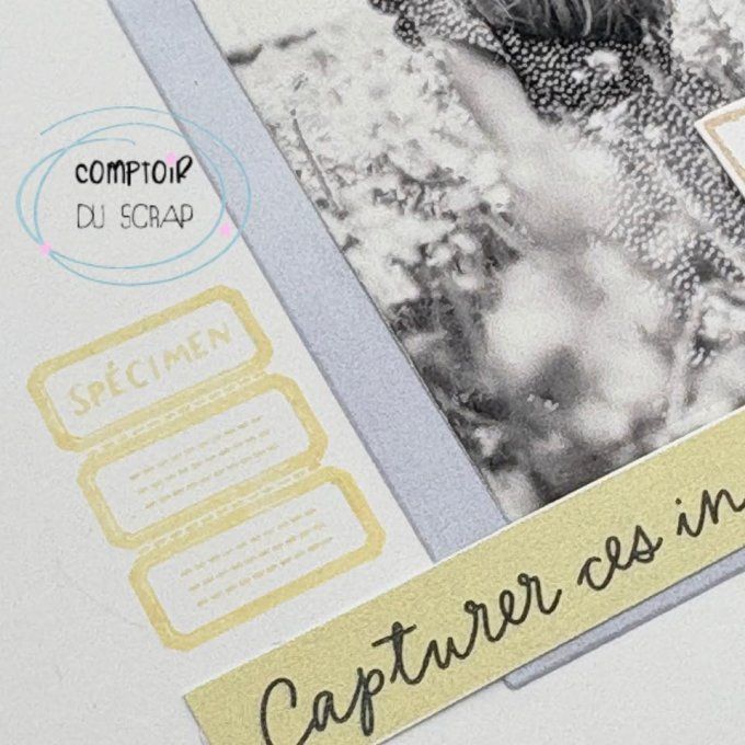 T0426-SA318 Tampons Poésie florale