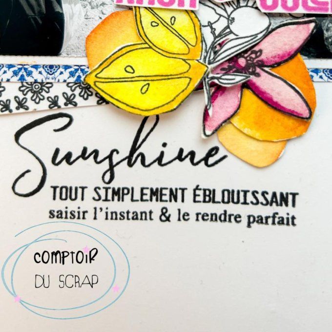T0625-SA296 Tampon Sunshine