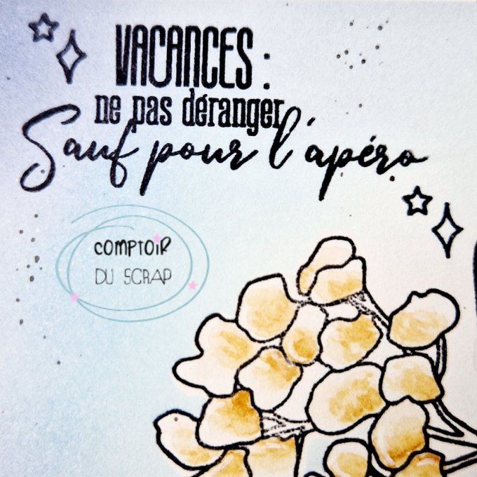 T0625-SA297 Tampon Vacances ne pas déranger