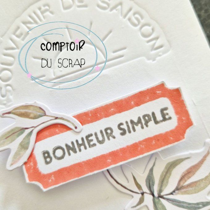 T0626-SA320 Tampons Mots d'été