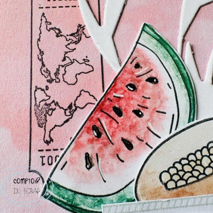 T0626-SA321 Tampons Fruit exotique