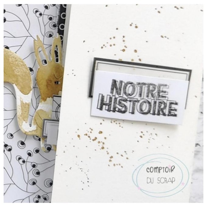 T0922-SA215 Tampon Notre histoire