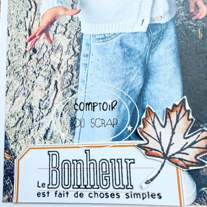 T0926-SA326 Tampons Au rythme des saisons