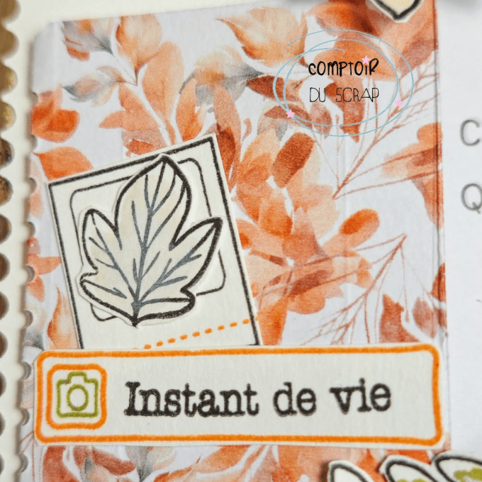 T0926-SA327 Tampons Plaisir d'offrir