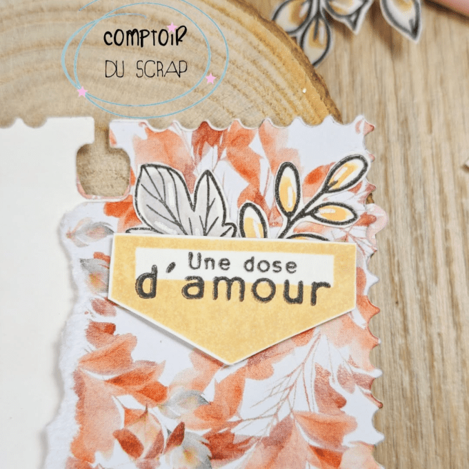 T0926-SA327 Tampons Plaisir d'offrir