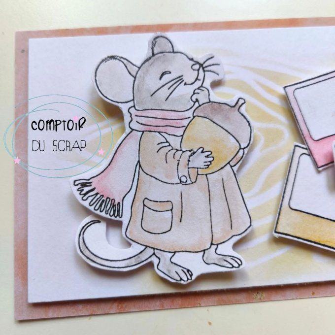 T0926-SA329 Tampons Chill chez les souris