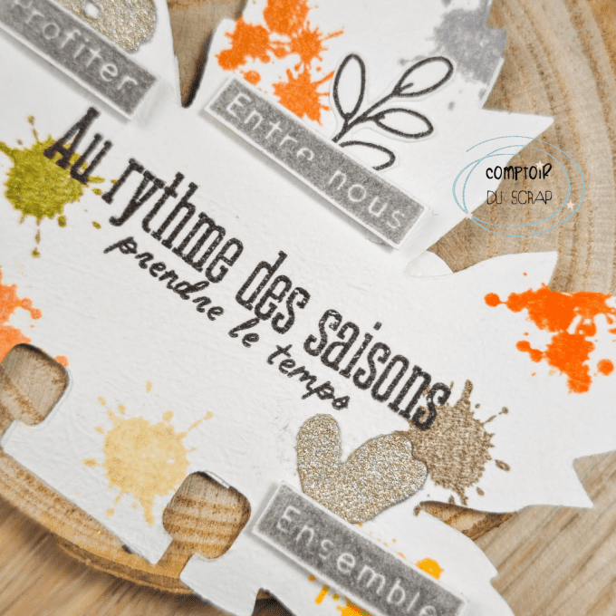 T0926-SA332 Tampons Nuances de saison