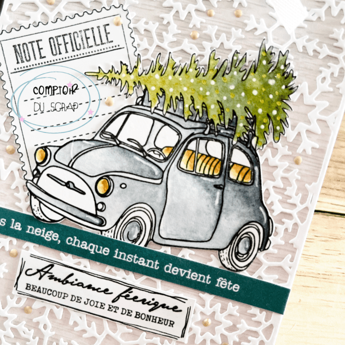 T1025-SA308 Tampons Ambiance féerique