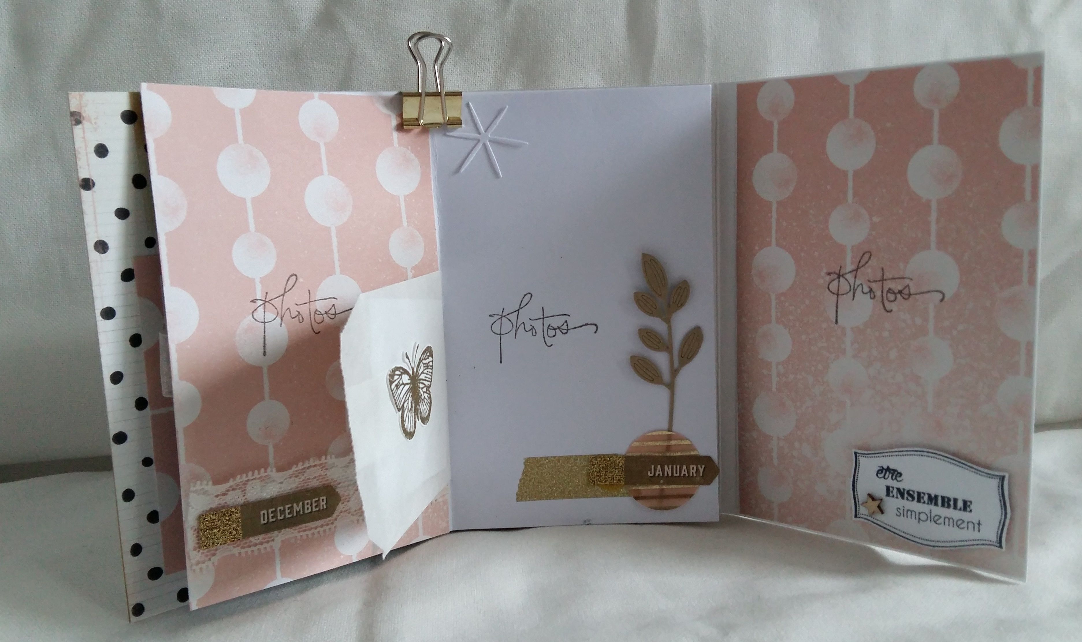 Mini-album de Liniromam pour CDS 5