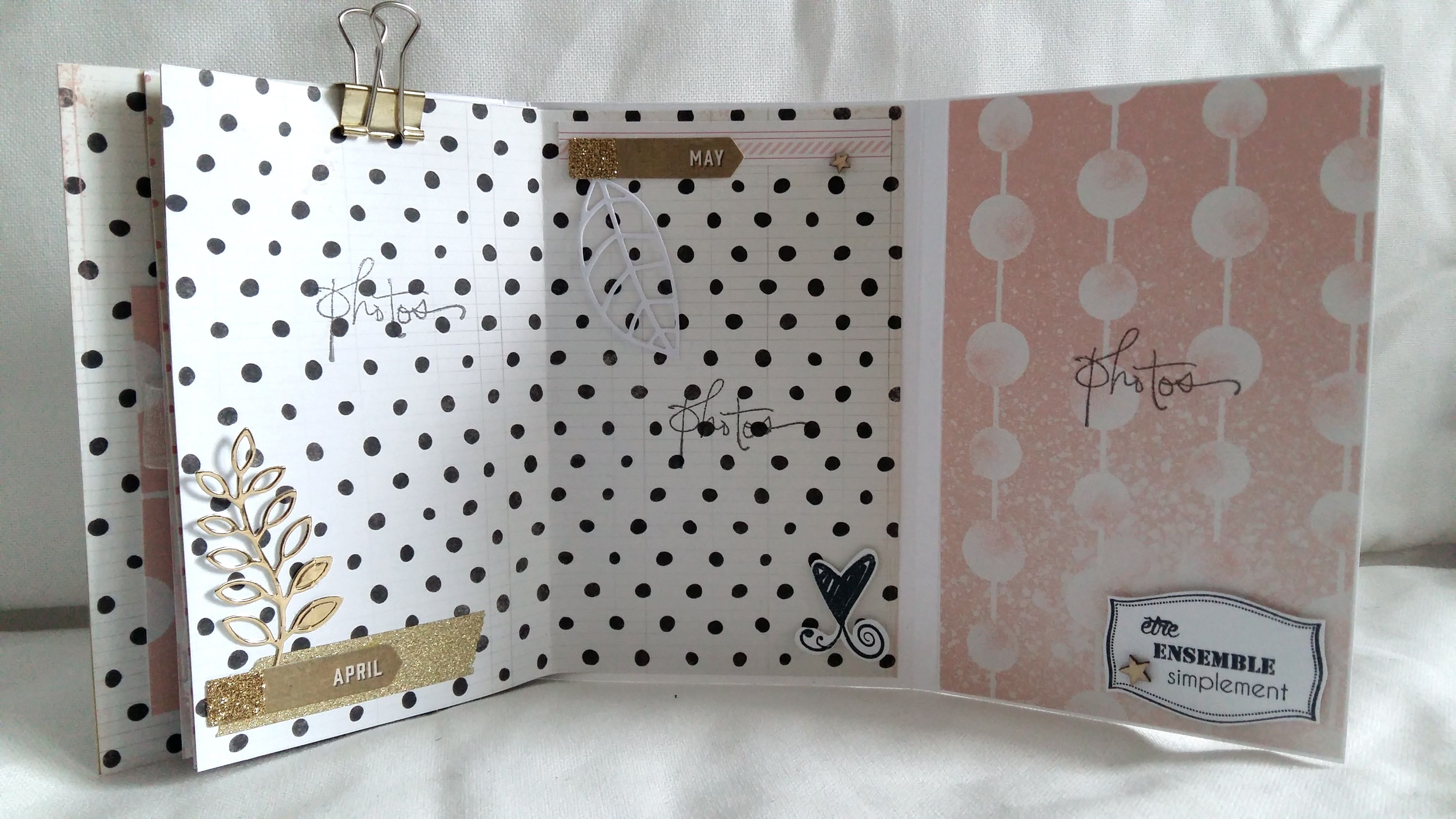 Mini-album de Liniromam pour CDS 3